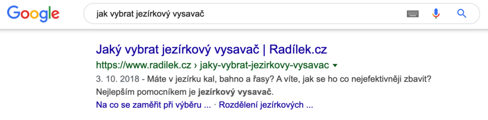 Ukázka ze snippetu Google